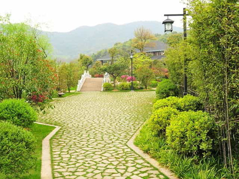 邊坡綠化養護
