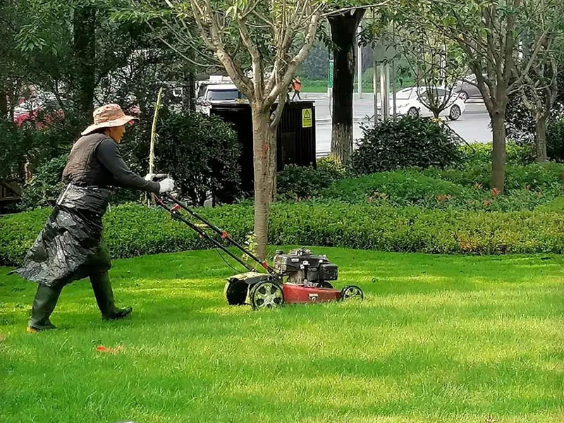 綠化養護